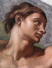 220px-Michelangelo,_Creation_of_Adam_05